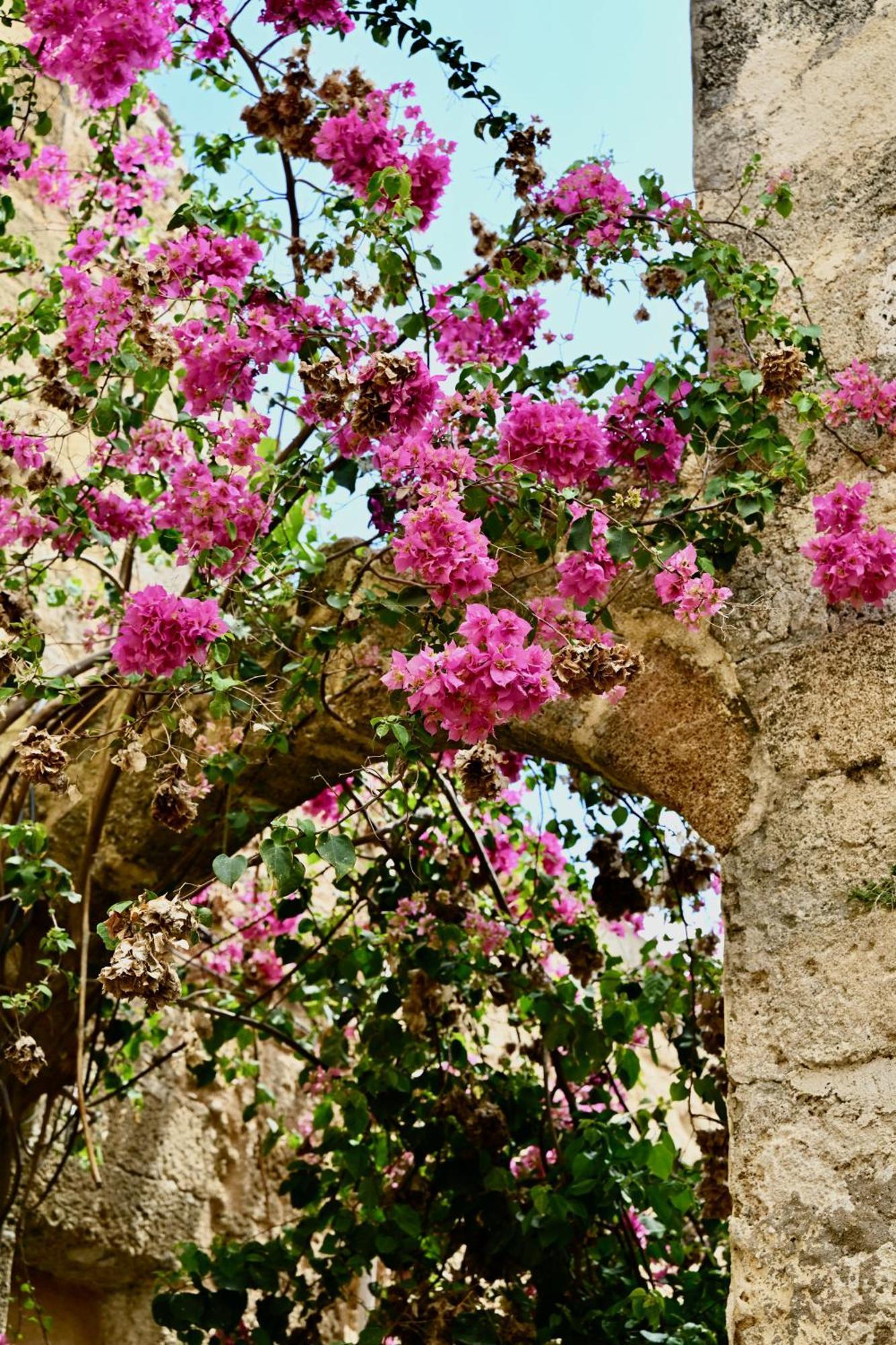 Penelope Garden House Old Town Apartment Rhodes City Екстериор снимка