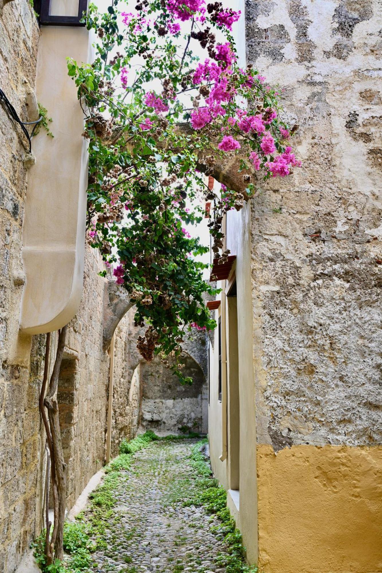 Penelope Garden House Old Town Apartment Rhodes City Екстериор снимка